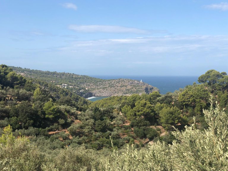 Aussicht nach Soller (2).jpg