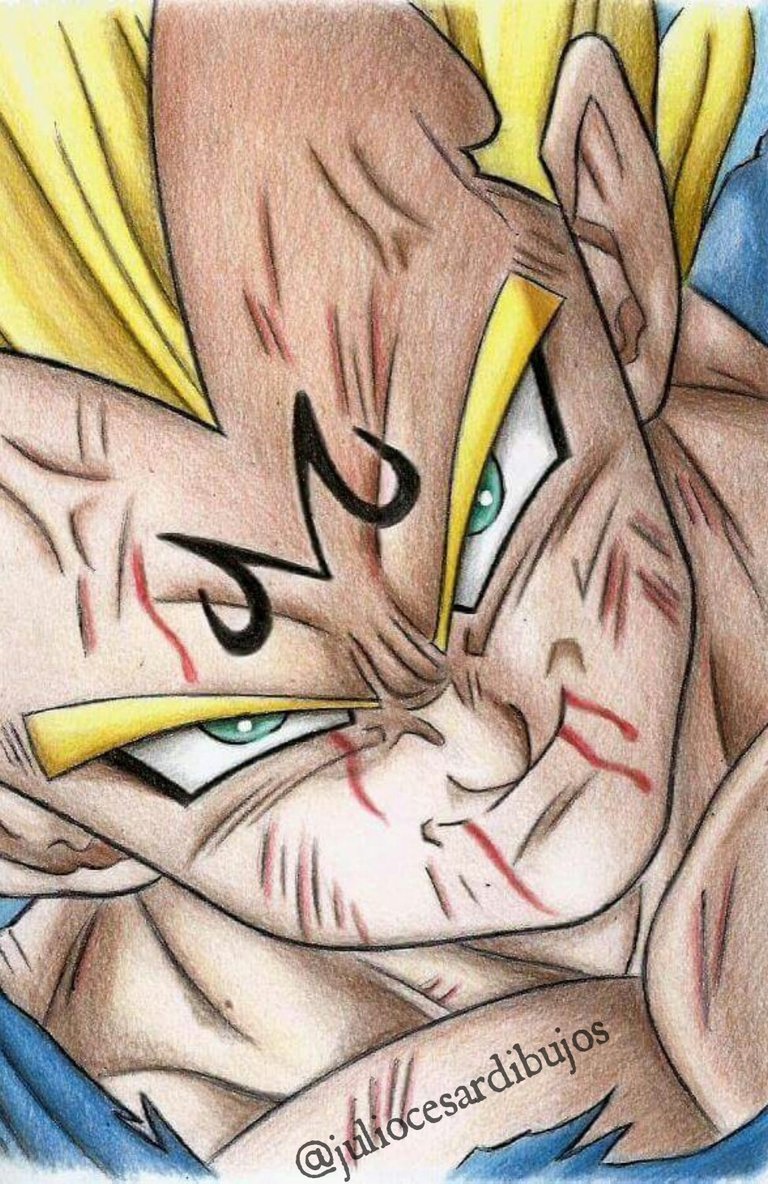 vegeta.jpg