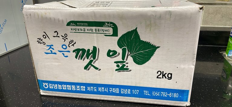 KakaoTalk_20250717_225345505.jpg