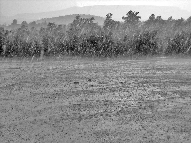 c-park rain 7x9 bw.jpg