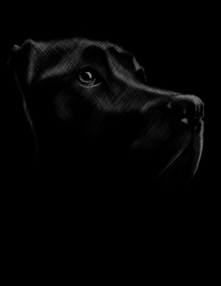 oogy7.png