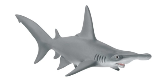 14835 Hammerhead Shark.png