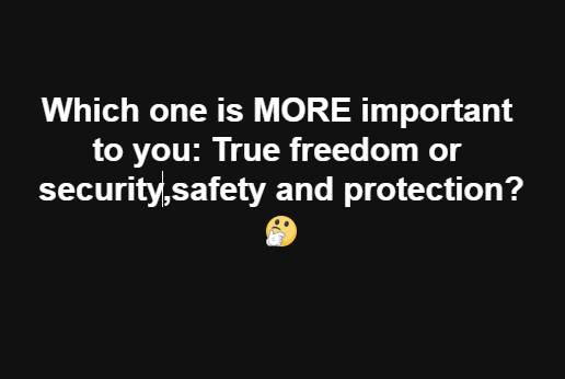 freedom vs security.png