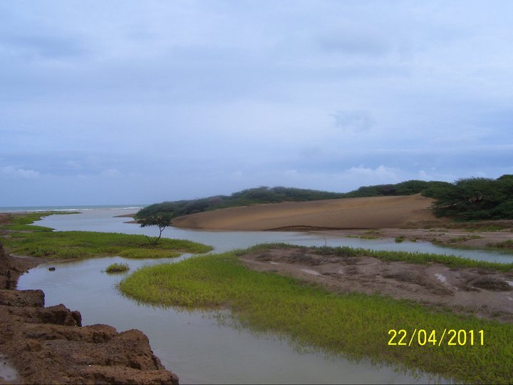 playa de casigua.jpg