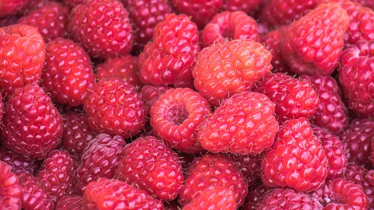 raspberries-3583005_1920.jpg