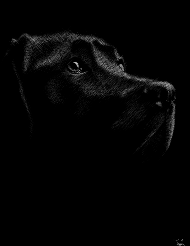 oogy8.png
