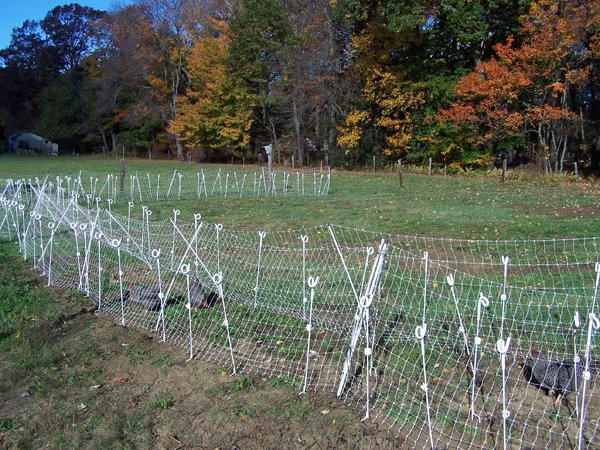 Layers in new snake fence2 crop Oct. 2016.jpg