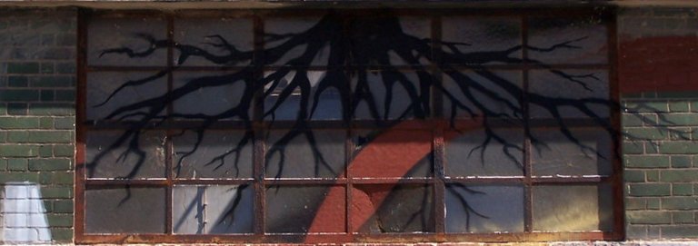 11 100_2668.JPG