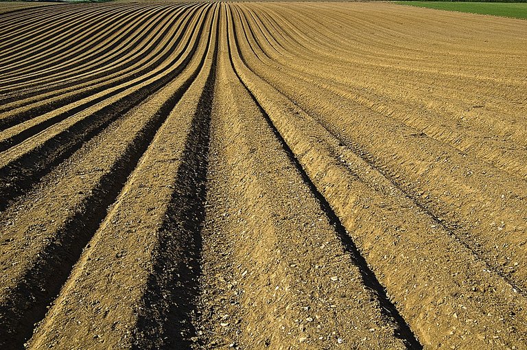 httpspixabay.comencrop-furrows-soil-seeds-1149914.jpg