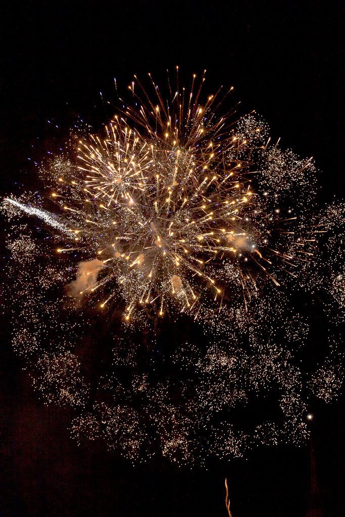 4987108730-fireworks (FILEminimizer).jpg