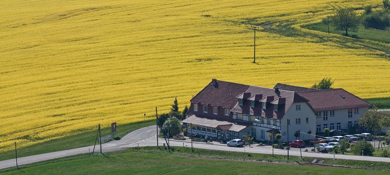 5693793936-schone-aussicht-a-daytrp-restaurant (FILEminimizer).jpg