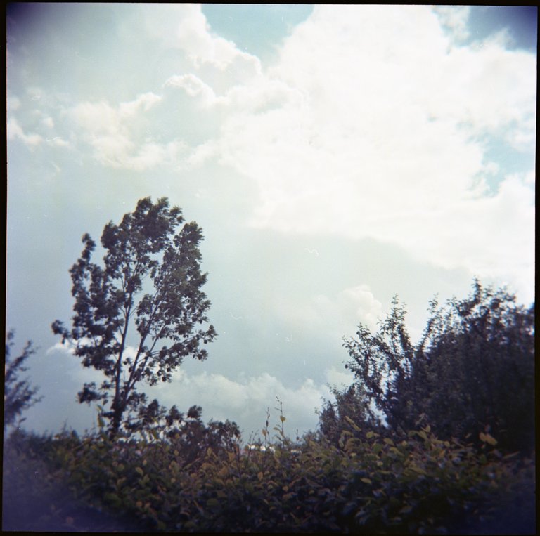 120mmHolga149.jpg