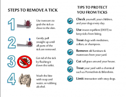 RMSF-Tick-card_image-250x191.png