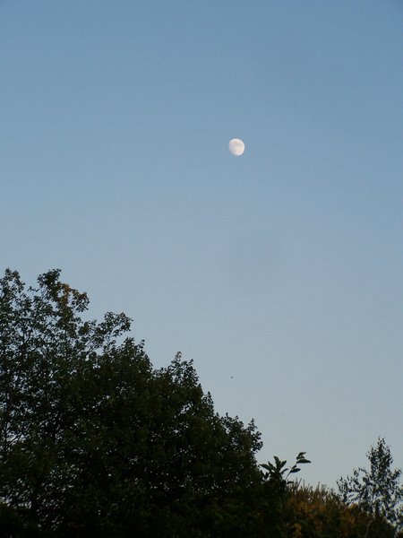 Moonrise2 crop July 2019.jpg