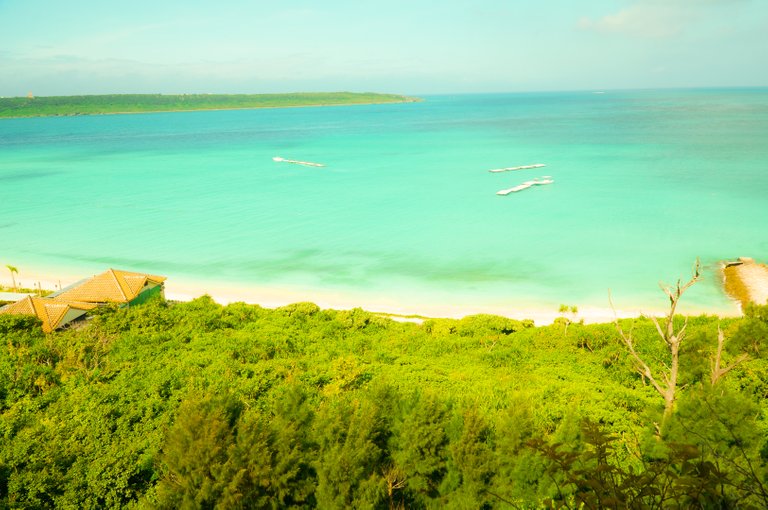 20180717 025 okinawa.jpg