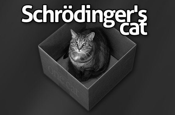 gato-schrodinger.jpg