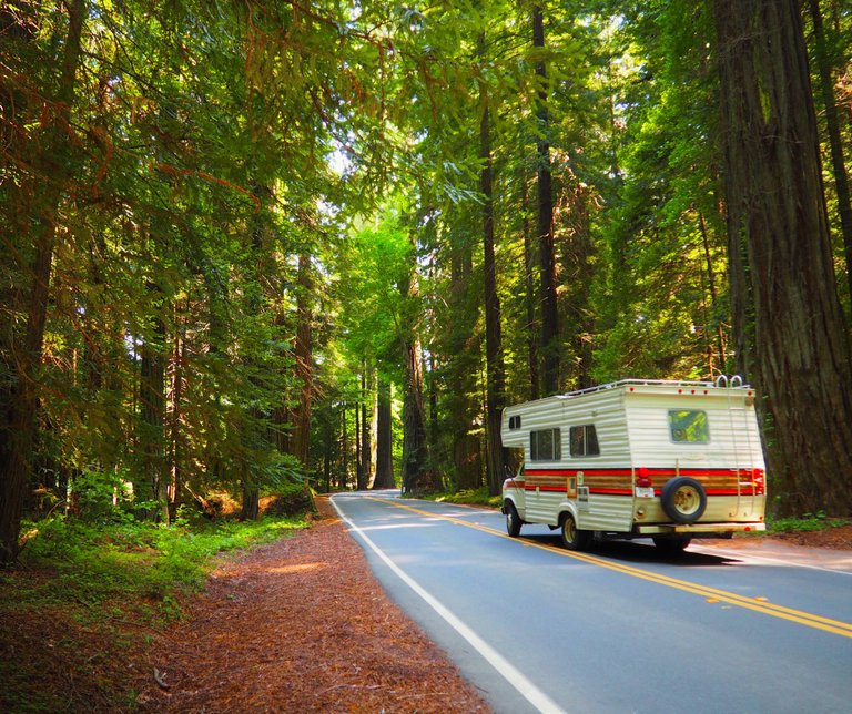 P5274870-motorhome-driving-through-redwood-forest.jpg