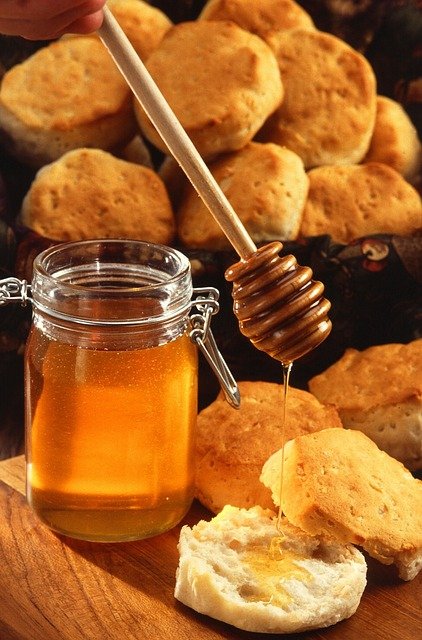 honey-386714_640.jpg