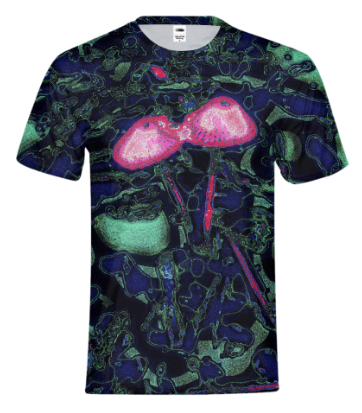 ShroomsT-Shirt.PNG