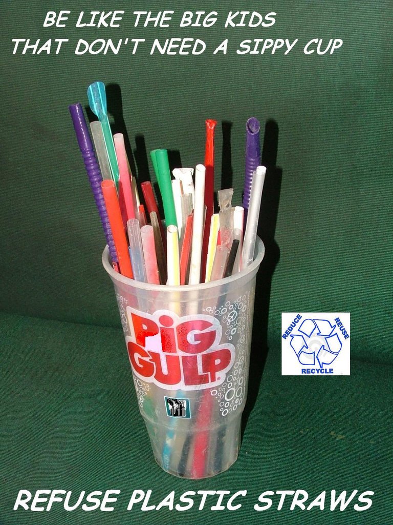 Big Gulp of straws edit.JPG