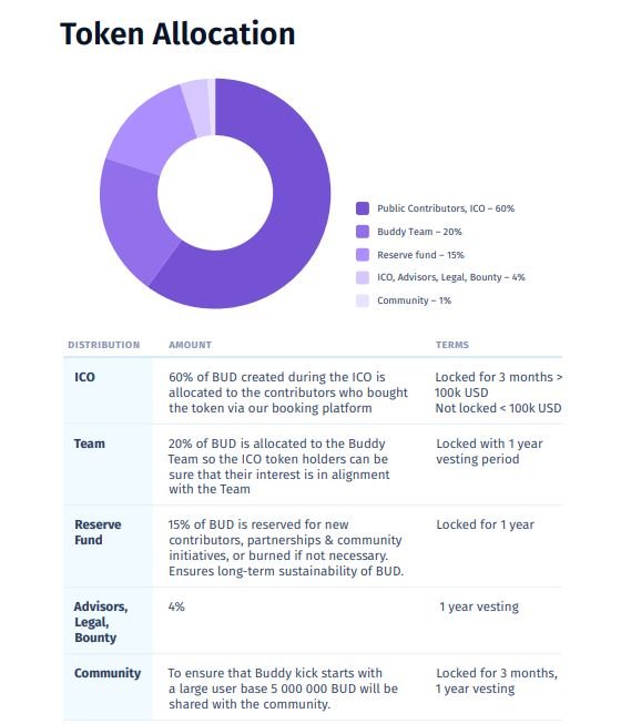 buddy token allocation.JPG