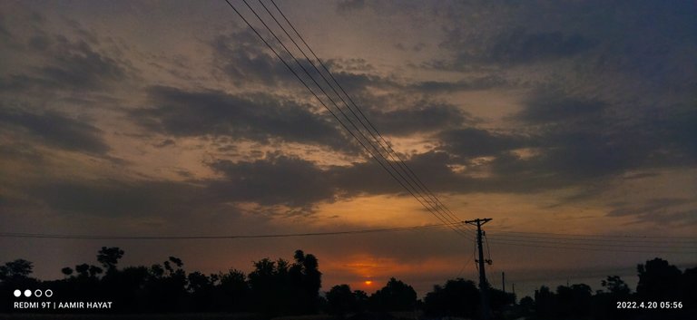 IMG_20220420_055653.jpg