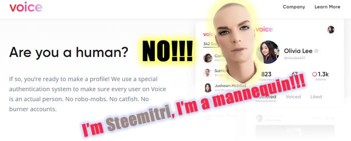 titolo-voice.jpg
