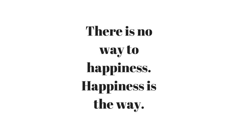 Happiness is the way..jpg