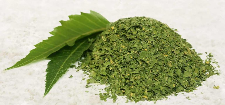 neem-powder.jpg