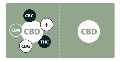 What-is-Full-Spectrum-CBD-Oil-.png