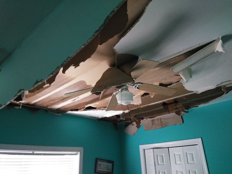 florence damage beach house assessment ceiling.jpg