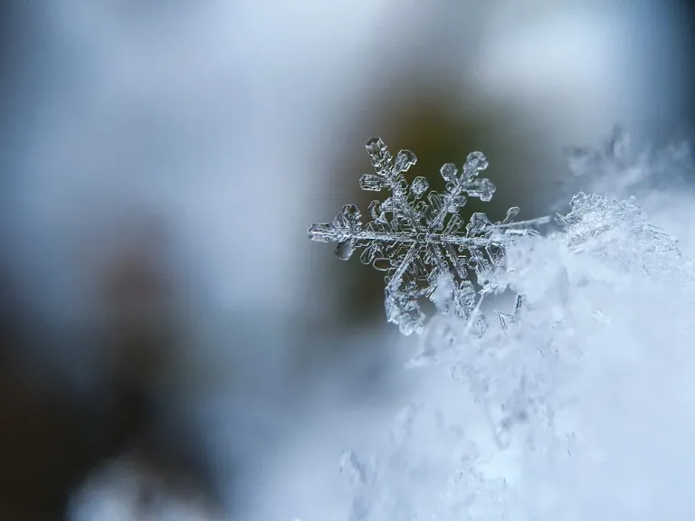 snowflake-1245748_960_720.webp