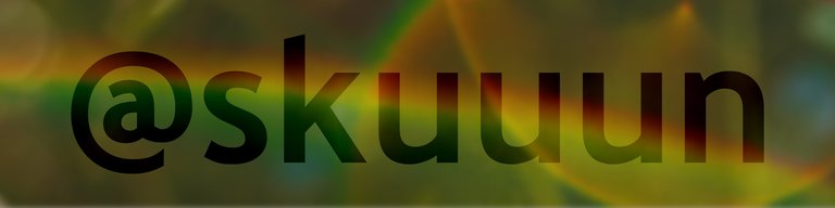 skuuun banner.jpg