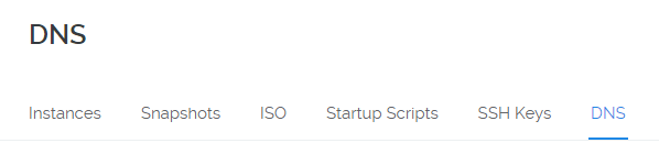 vultr-dns-tab.PNG