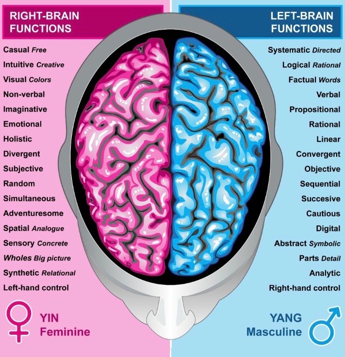 Right-Left-Brained. 2.jpg