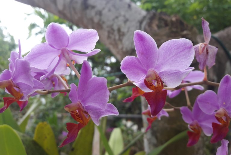 20180828_091901.jpg