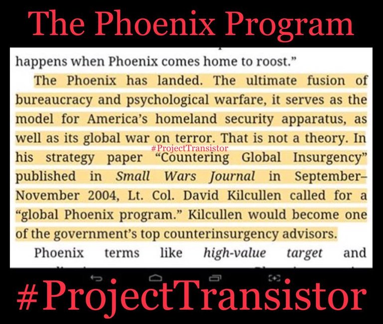 phoenix program instagram 2.jpg