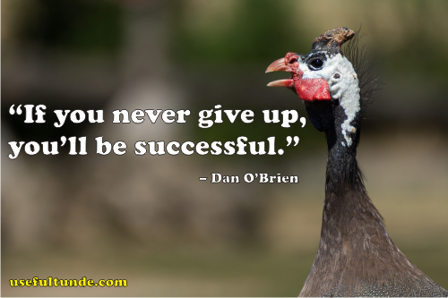 never give up quotes – Dan O’Brien   .png