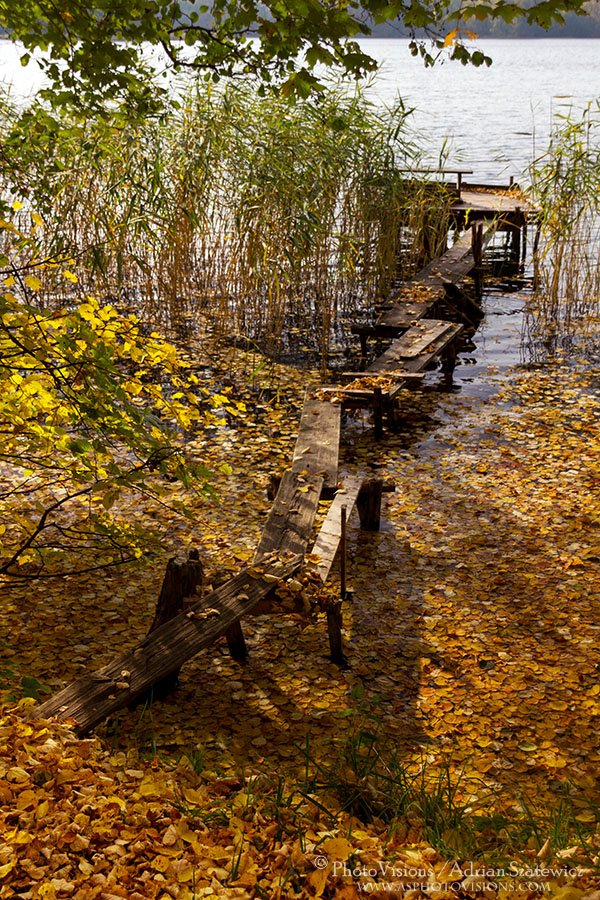 PA049-Old_wooden_bridge.jpg