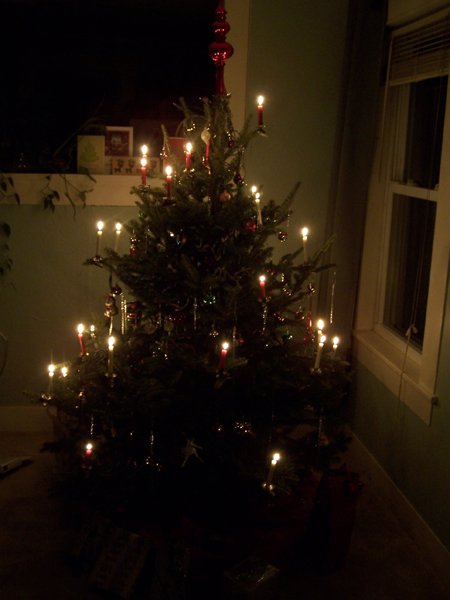 Christmas tree - candles only crop December 2019.jpg