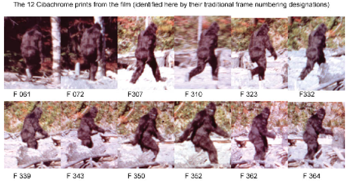 bigfoot_frames.png