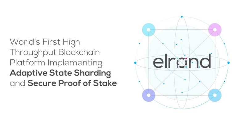 Elrond-Network-banner.jpg