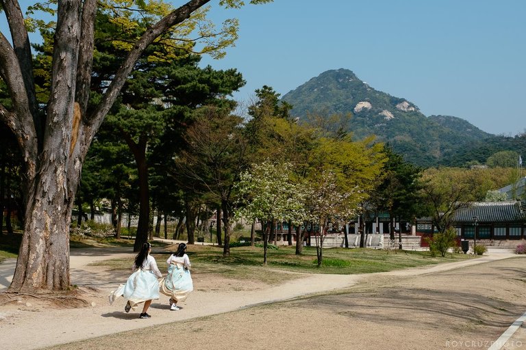 Seoul Gyeongbokgung South Korea Street Travel Documentary Photographer-3.jpg