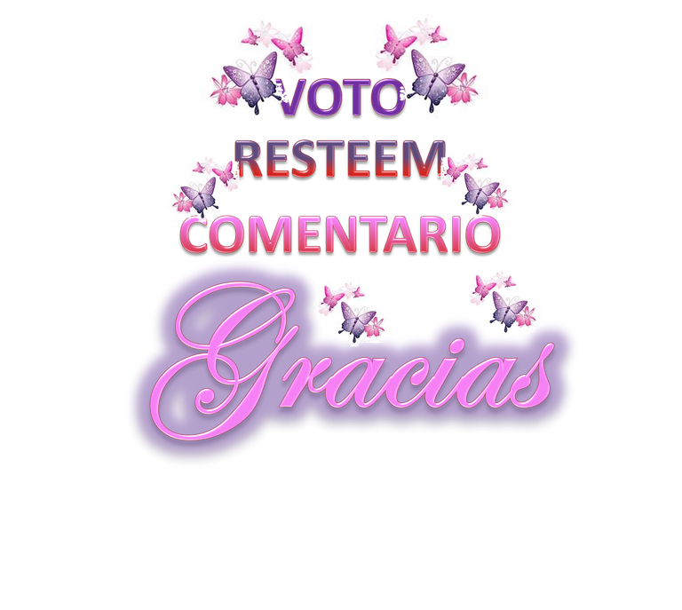 Votos y Gracias.png