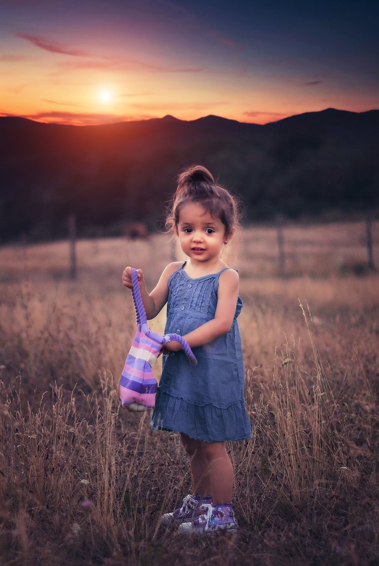 child-cute-field-36029.jpg