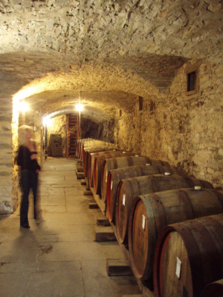 Sevenhill Cellar.JPG