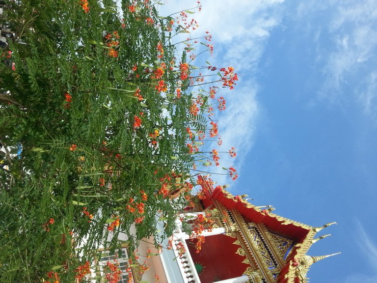 Wat Laharn16.jpg
