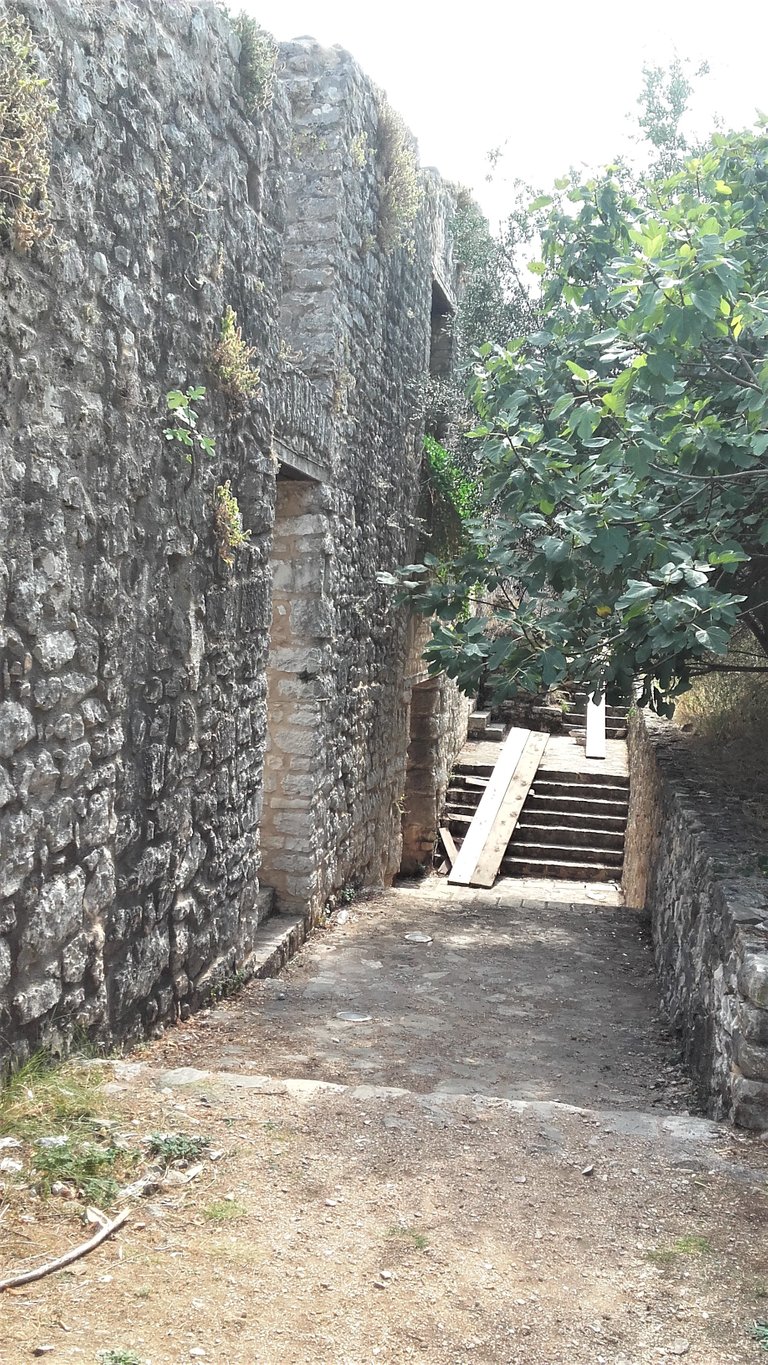 20170928_143907.jpg