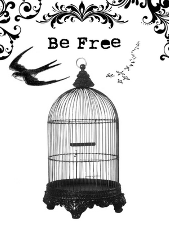 bird cage.jpg