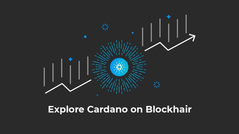 cardano launch.jpg